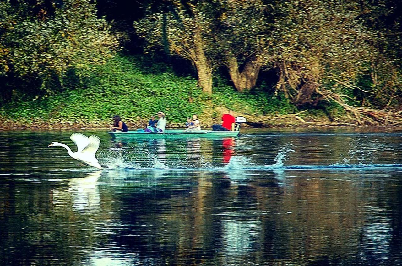 Zagreb, Kuca Za Odmor Swan River Holiday House Lasinja Экстерьер фото