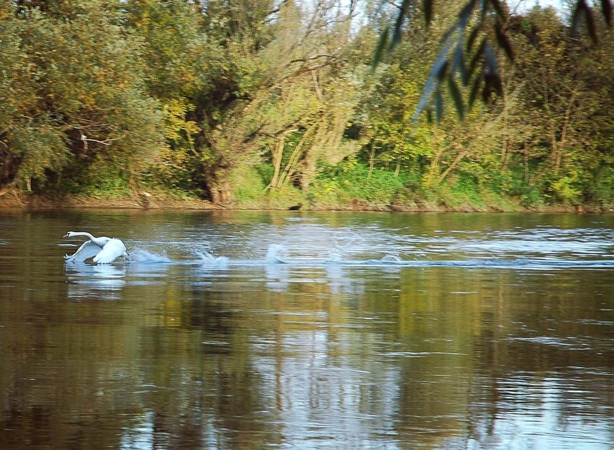 Zagreb, Kuca Za Odmor Swan River Holiday House Lasinja Экстерьер фото