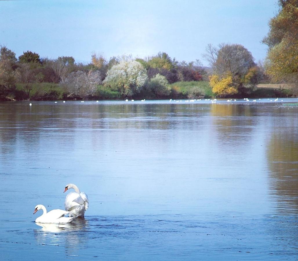 Zagreb, Kuca Za Odmor Swan River Holiday House Lasinja Экстерьер фото